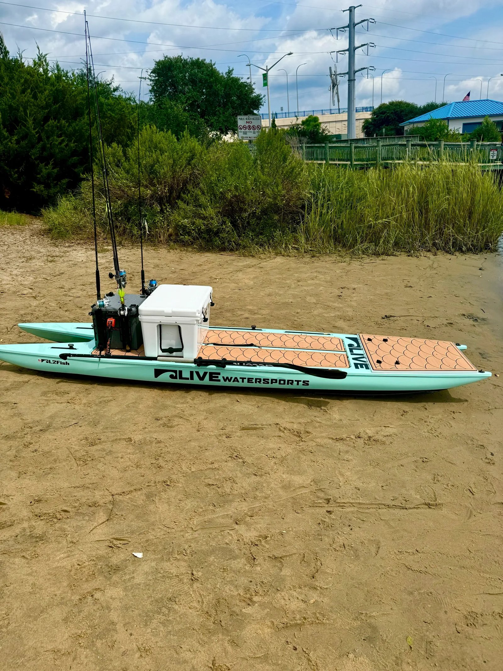 L2 Fish Motorized Hybrid view 4
