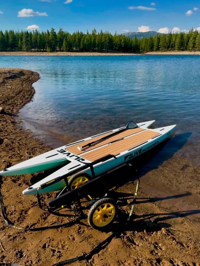 L2 Fish Motorized Hybrid view 5
